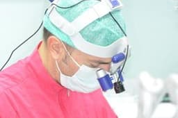 Dr. Davide Silingardi